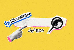 25 03 PS SilverstripePlugin thumbnail
