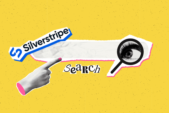 25 03 PS SilverstripePlugin thumbnail