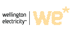 WE logo 1